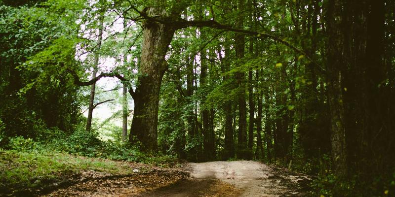 土家嫂55：摆手舞与西兰卡普间，织就千年土家文化密码