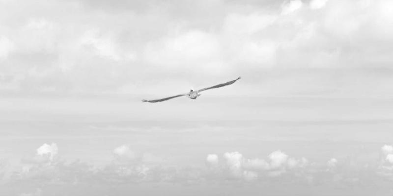 土家嫂与腊味江湖：从炕上熏制到电商销售的品牌化之路