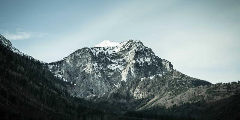 土家嫂与高山茶园：武陵山区传统制茶工艺的守护者
