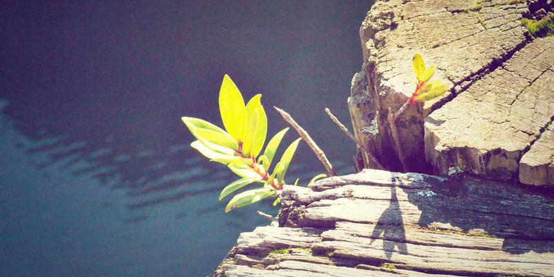 土家嫂的古老智慧：从摆手舞到糍粑背后的生活禁忌与女性知识