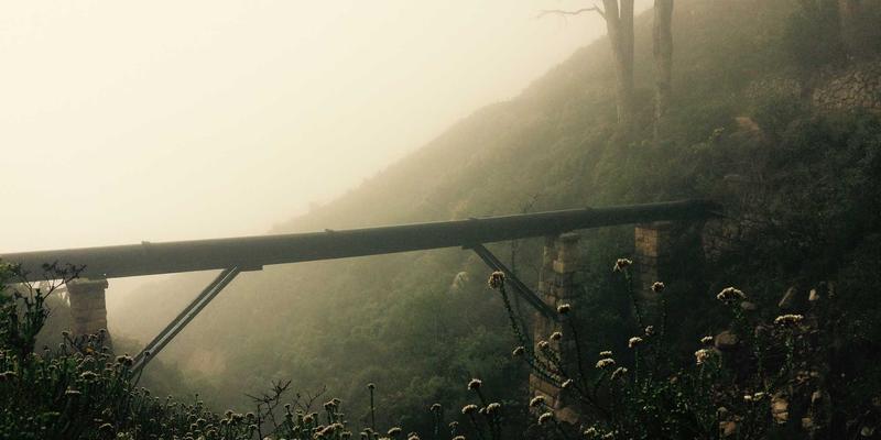 土家织锦纹样里的摆手舞与合渣记忆：太阳花到台台花的家族信仰密码