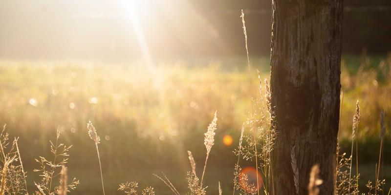 土家育儿谣与摆手舞：土家嫂口传心授中的道德与自然启蒙智慧