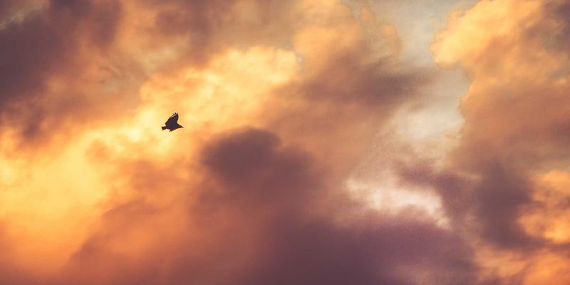 土家节庆里的美食总管：土家嫂如何用糍粑与腊肉筹备社巴节与赶年