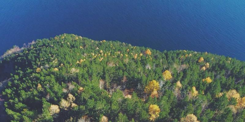 摆手舞与土家嫂：探秘土家婚俗中女性角色的文化担当
