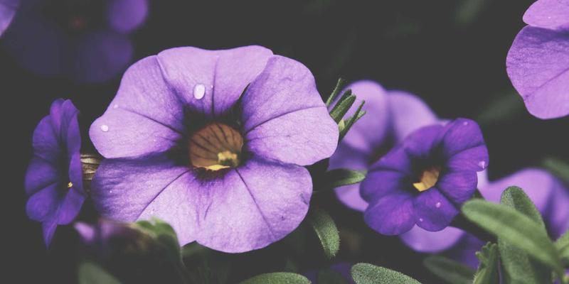 银饰叮当与围裙烟火：从土家服饰解码土家嫂的双重社会角色